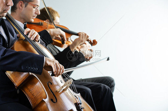 古典音乐 音乐会乐队团队音乐家音乐交响乐小提琴娱乐男性双手男士图片