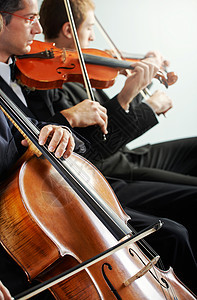 古典音乐 音乐会大提琴大提琴手小提琴男士双手人类音乐音乐家乐器娱乐图片