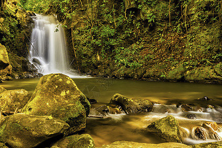 森林浅热带自然现象瀑布溪流苔藓植被叶子旅行绿色岩石图片