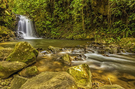森林瀑布溪流热带自然现象植被绿色苔藓叶子旅行岩石图片