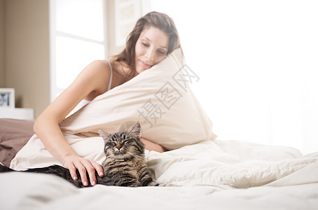 与猫有女人枕头房子小猫羽绒被卧室家居头发宠物寝具棕色图片
