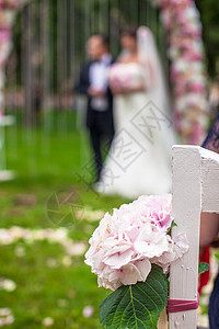婚席和花朵供户外仪式乔木已婚太阳花瓣人行道花园阳光小路入口玫瑰图片