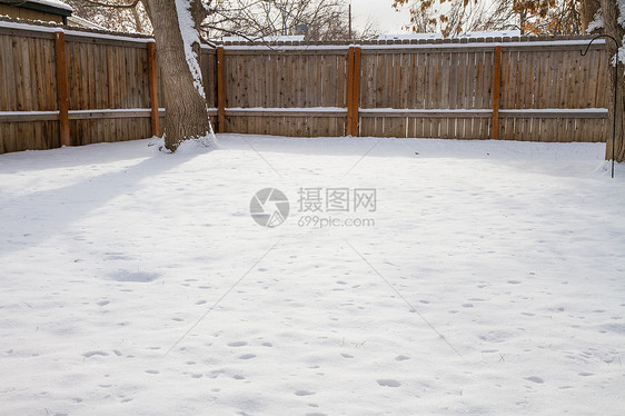 雪的后院图片