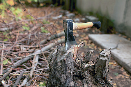斧头林地木材木工人硬木工作木头工具动作樵夫背景图片