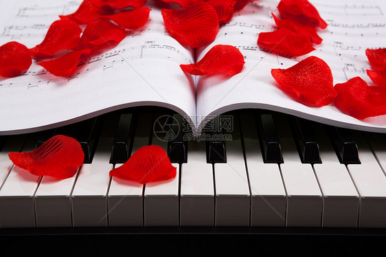 钢琴键和音乐书唱歌黑色白色仪表人声休息音乐会音乐艺术宏观图片