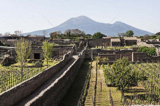 庞贝火山旅行遗产城市建筑帝国地标柱子灾难考古学图片