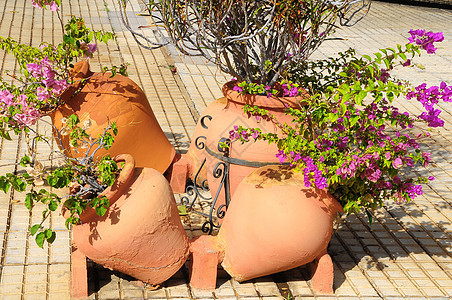 陶瓷花园锅红色花盆古董粉色露台盆栽植物学陶器播种机制品图片