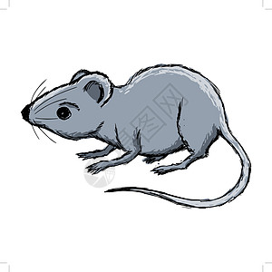 家鼠害虫插图草图手绘房子灰色动物卡通片图片