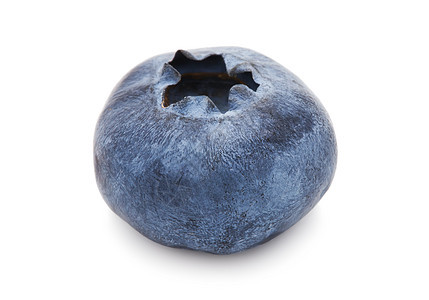 蓝莓生产营养水果圆形宏观白色黑色浆果植物靛青图片