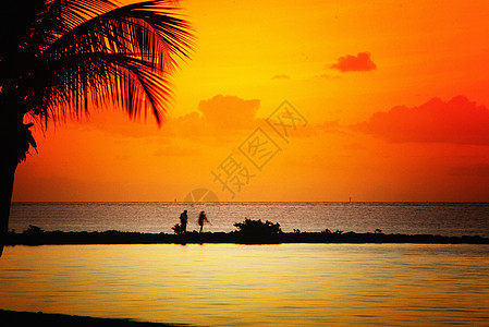 日落时沙滩水平风景游客摄影旅游目的地天空地平线海滩假期图片