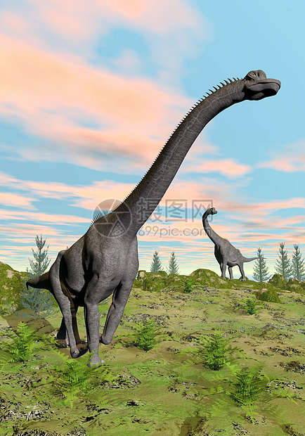 3D类三维转化野生动物脊椎动物插图侏罗纪蜥蜴蓝色日落恐龙天空图片