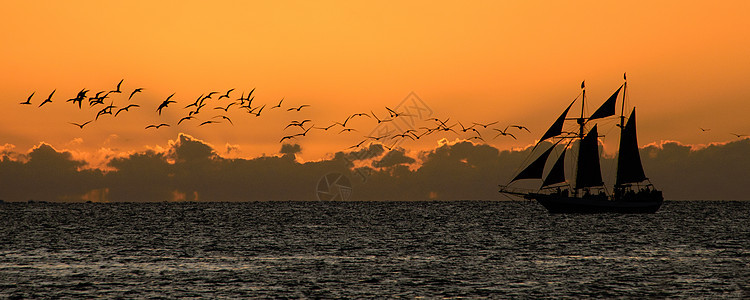 海洋中的船舶鸟类摄影帆船场景目的地鸟群天空风景航行客船图片