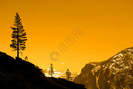 一棵树的轮光风景场景寂寞山脉水平摄影日落岩石山谷地质学图片