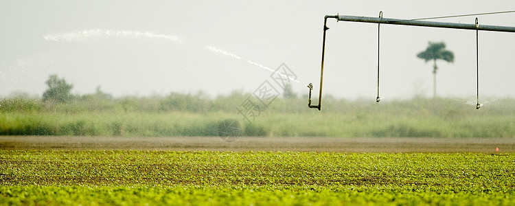 Sprinkler 喷雾器水平设备洒水器风景农业机械风光喷涂系统庄稼灭火图片