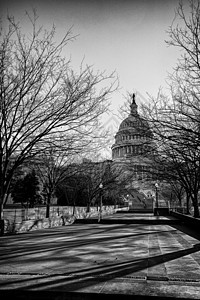 美国国会大厦黑色历史性地标参议院首都建筑白色小路途径树木图片