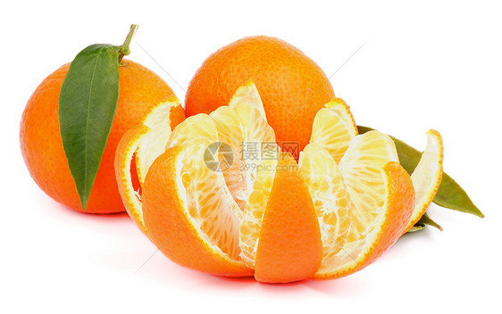 带线段的近针酸味热带绿色叶子圆圈橙子白色香味食物橘子图片
