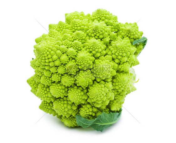 罗曼尼斯科花椰菜农业白色发芽宏观绿色菜花食物螺旋图片