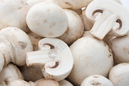 香农蘑菇营养烹饪白色食物蘑菇图片