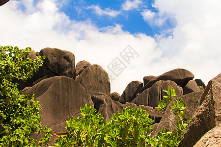 塞舌尔大块光滑的巨石群巨石情调棕榈绿色风景石头旅行环境异国热带图片