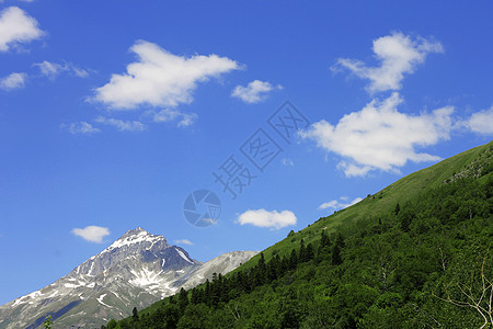 下方的青森林和绿林绿色太阳白色旅行蓝色风景高山季节天空森林图片