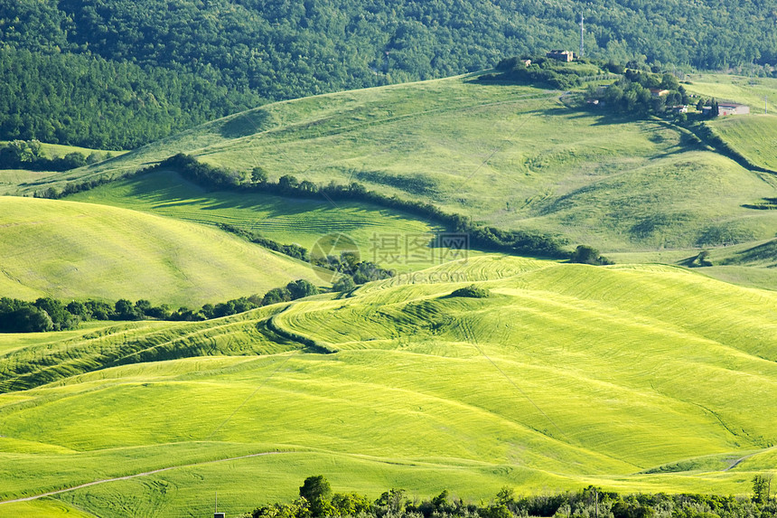 春季的绿色典型土瓜风景农村植被场景国家农田草地阴影环境日落场地图片