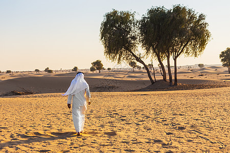 阿拉伯沙漠旅行树木男人国家艺术灰尘沙漠天空男性衣服图片
