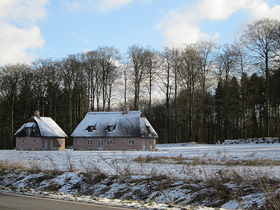 孤独小屋棕色森林乡村建筑房子木头日志图片