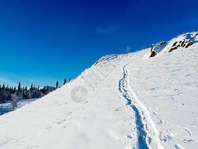 开阔的山坡深雪 上山雪鞋足迹图片