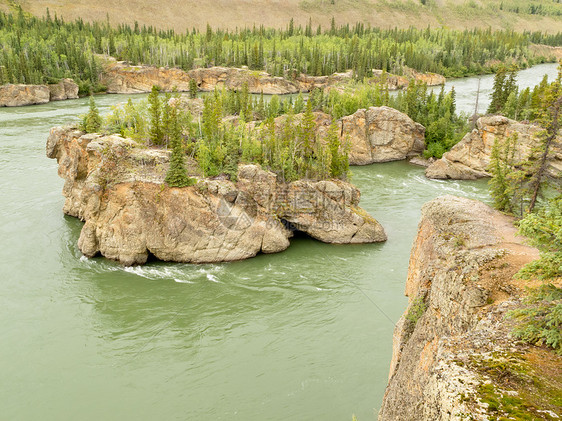 五指快速岩石 育空河 YT 加拿大旅行历史性荒野风景岛屿树木激流白水场景森林图片