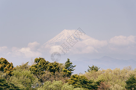 Mt Fuji 视图地标场景绿色树叶旅行风景天空白色历史性火山图片