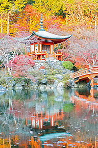 日本京都 京都寺庙建筑学佛教徒宝塔建筑神社饲料花园日落文化图片