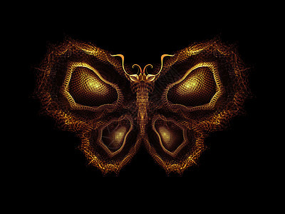 蝴蝶魔法野生动物数学森林创造力渲染几何学翅膀航班漏洞眼睛图片