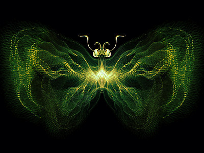 蝴蝶魔法触角昆虫学创造力野生动物花园航班眼睛插图宏观漏洞图片
