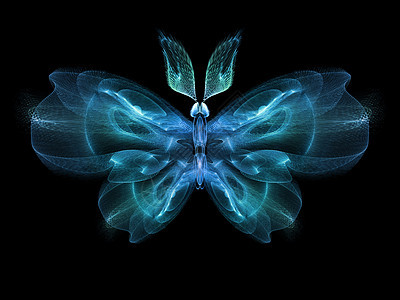 蝴蝶优雅插图设计装饰品触角漏洞元素眼睛想像力野生动物数学图片