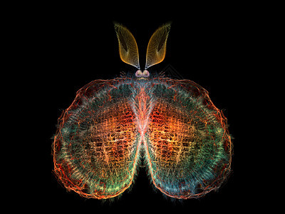 蝴蝶概念插图翅膀昆虫学生物学眼睛科学花园元素渲染森林图片