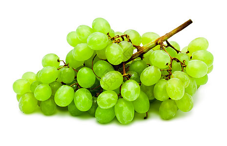 葡萄收成食物藤蔓浆果甜点农业营养绿色酒厂白色图片