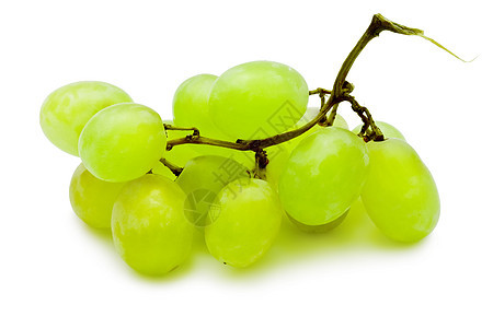 葡萄白色酒厂营养收成水果农业甜点藤蔓绿色食物图片
