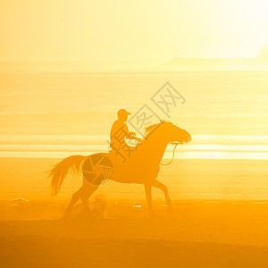 日落时马在海滩骑马哺乳动物波浪阳光野生动物动物荒野骑术牛仔自由尾巴图片