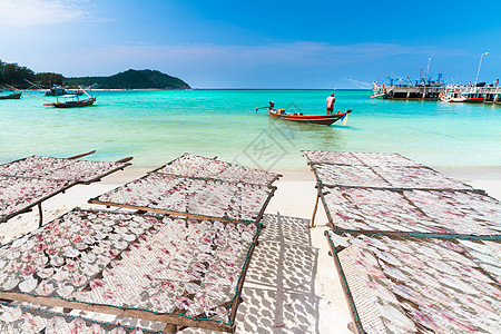 传统鱿鱼在阳光下干燥海洋热带钓鱼旅行框架海岸假期蓝色天空阴影图片