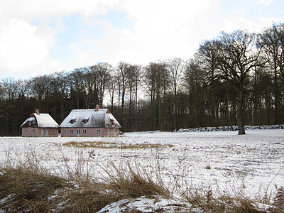 孤独小屋森林木头建筑棕色房子日志乡村图片