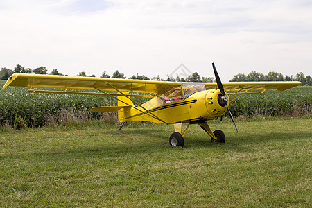 固定翼单引擎飞机停在草坪上背景
