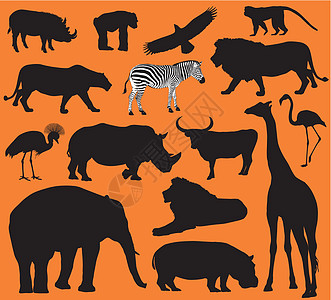 动物假影收藏动物园猎人斑马动物学捕食者哺乳动物野生动物大草原黑猩猩图片