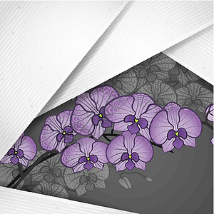 白皮书图层背景摘要 第3页横幅空白植物群白色插图阴影紫色草图框架线条图片