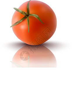 红番茄矢量说明植物水果美食饮食沙拉圆圈插图蔬菜花园市场图片