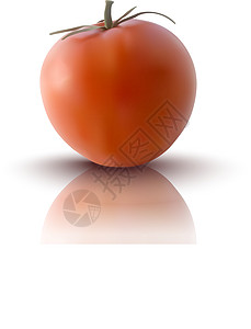 红番茄矢量说明市场美食沙拉维生素水果饮食叶子植物烹饪蔬菜图片
