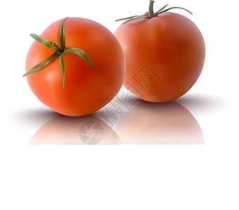 红色西红番茄矢量说明食物沙拉叶子植物维生素市场卡通片美食花园饮食图片