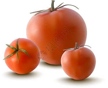 红色西红番茄矢量说明美食烹饪插图蔬菜饮食水果市场植物沙拉食物图片