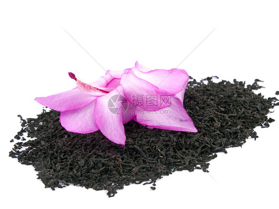 香味黑茶和白色粉红花粉色叶子芳香茶碱图片