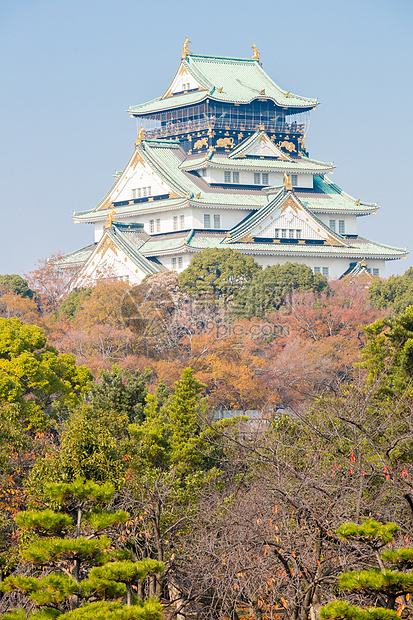 日本大阪城堡天空旅行观光遗产建筑学建筑武士吸引力旅游公园图片