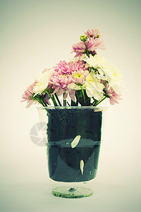 粉红色花团郁金香植物礼物玫瑰浪漫花朵雏菊花瓣玻璃花束图片